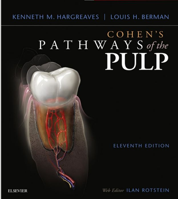 Cohen's Pathways of the pulp PDF