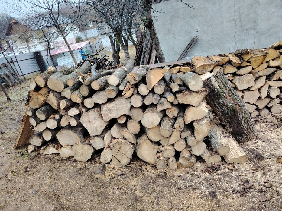 Lemne de vânzare esență tare stejar