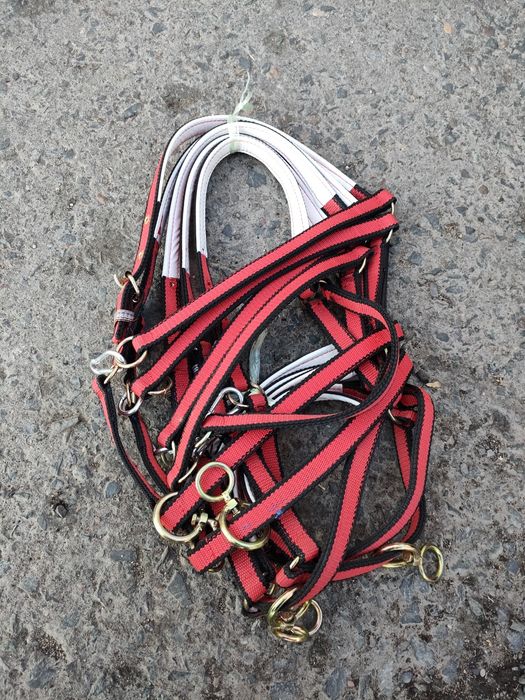 Продам новый недоуздок для жеребят