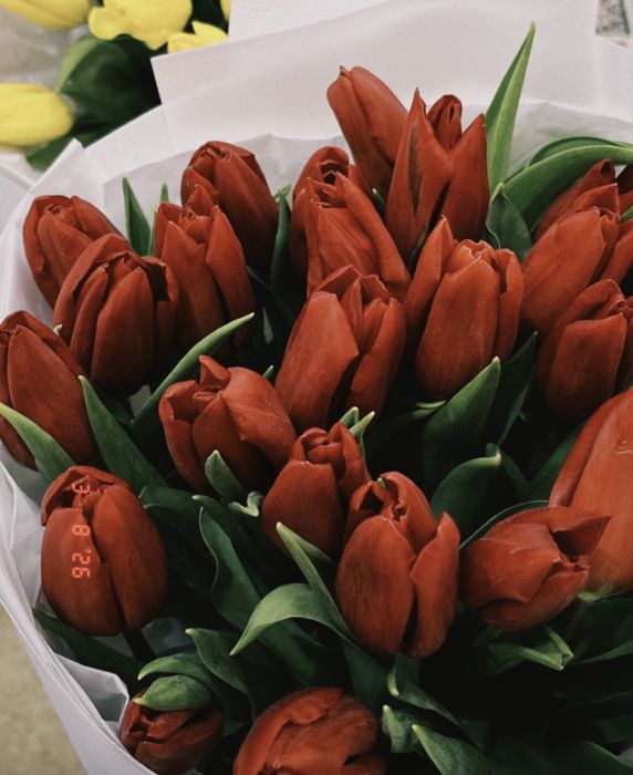 Тюльпаны 25 шт.