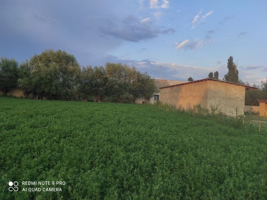 Sroʻchni uy sotiladi.