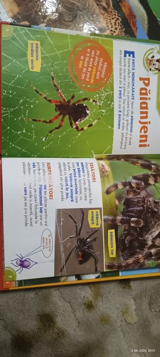 26 Carti din colectia Disney Prieteni cu animalele