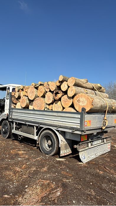 Lemne de foc esenta tare