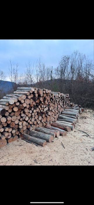 Lemn pentru foc,lucru(Fag,Molid)