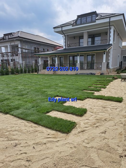 Gazon rulou sport,Tuia Brazi Mesteacan etc