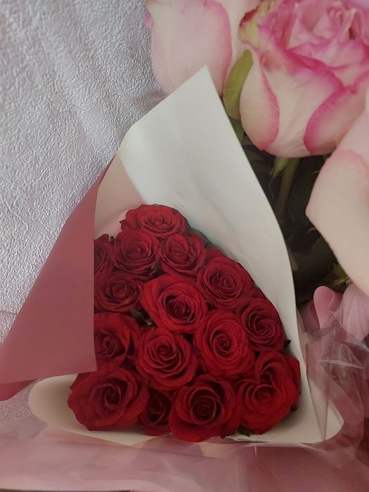 Цветы розы красные