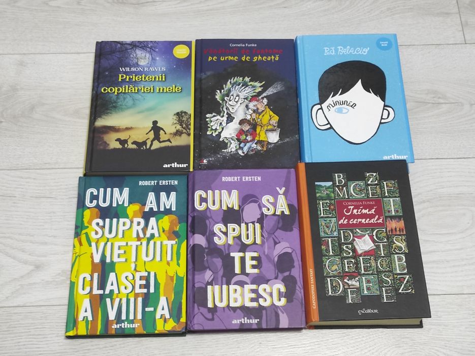 Minunea Inimă de cerneală Jurnalul unui puști Istoria lu Răzvan Isidor