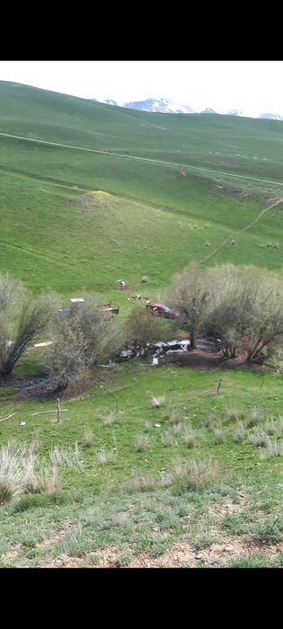 Фазенда сатылады