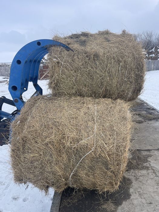 Сено разнотравье рулоны