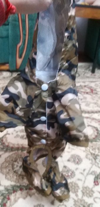 Одежда на осень для мелких пород