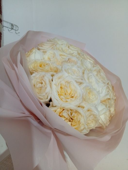 Шымкент қаласы,белые розы