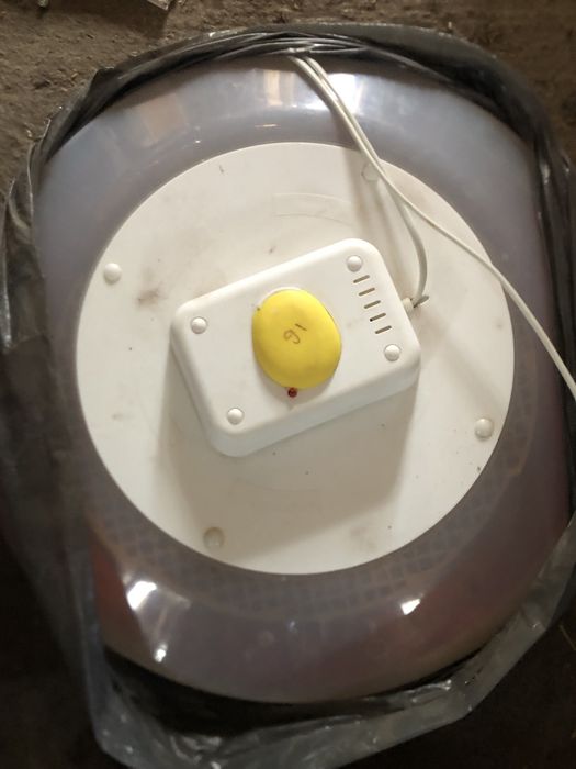 Vand  incubator oua