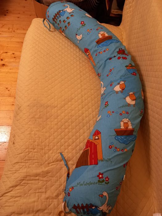 Perna cornulet gravida