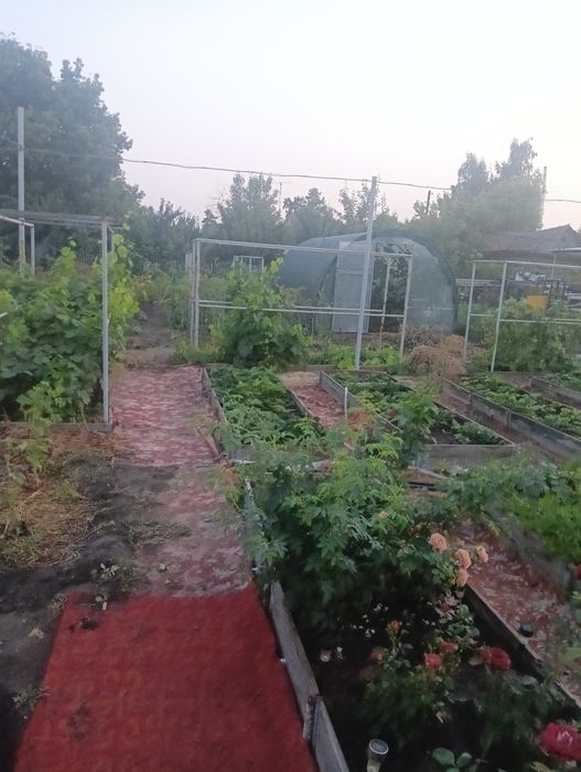 Продам дачу общества садовод наримановка