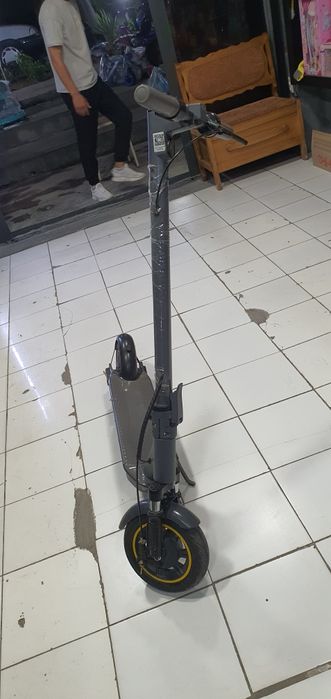 Xolati idial kelb korshilla mumkn