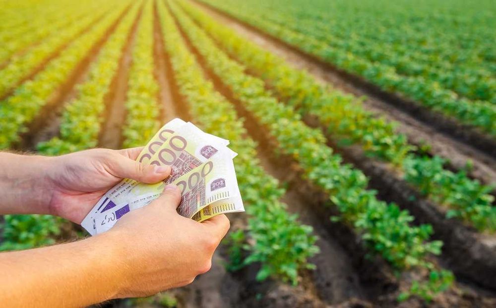 Împrumuturi: și investiții cu condiții foarte simple pentru toată lumea din România