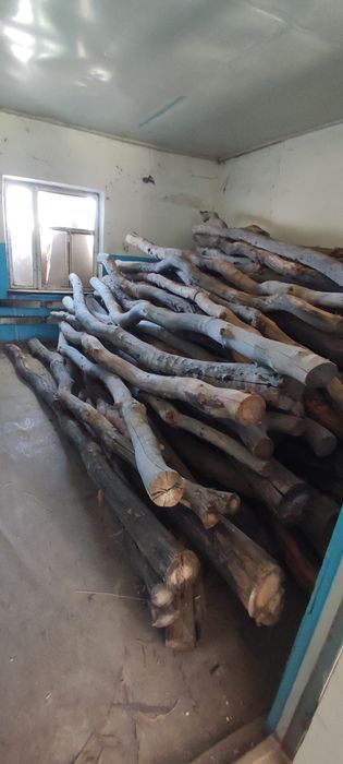 Жайдың төбесин бастырыўға жуўан торанғыллар сатылады