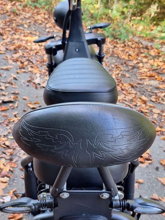 De vânzare Harley Electric