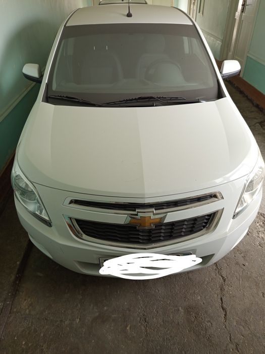 янгидай турибти,