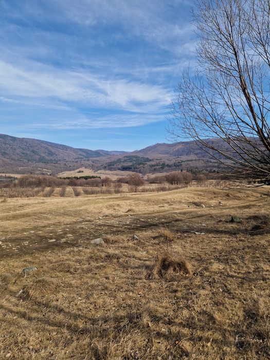 Vand teren intravilan - Nucsoara