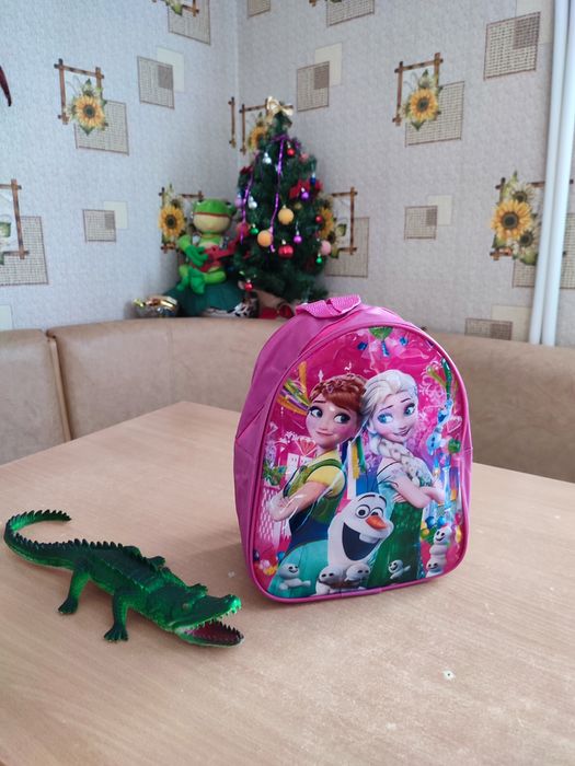 Новый  рюкзачок.