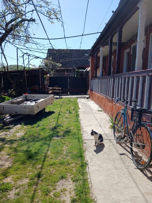 Vând casă în Șoimuș