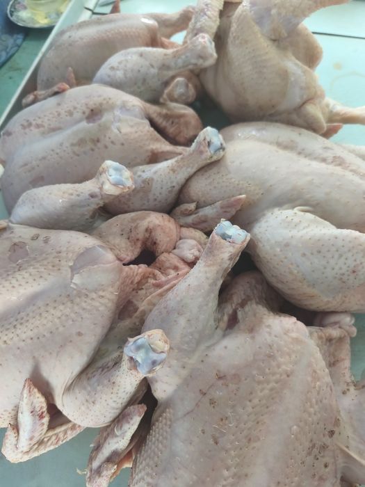 Продаются тушки домашних курей бройлеров