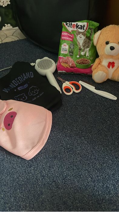 Котик маленький 1-3 месяца