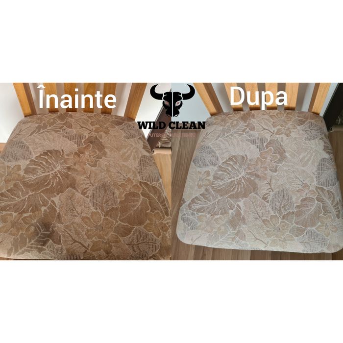 Wild Clean ofera servicii de curatare canapele,scaune,saltele,covoare