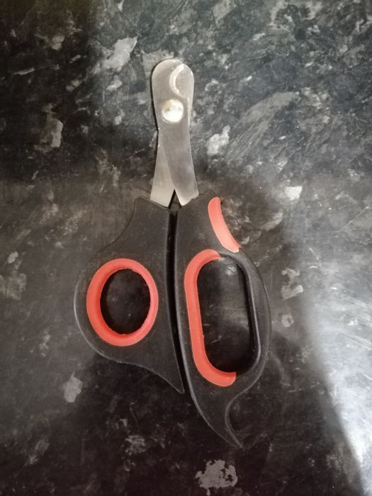 Принадлежности для питомцев