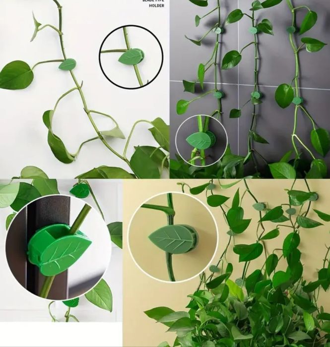 Gul novdalari uchun qisqich.