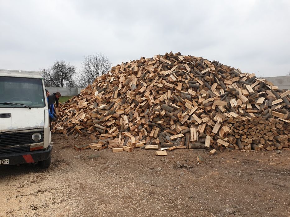 Lemn de foc fag uscat ținut în hala , nisip balastru