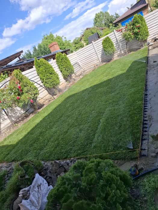 Servicii Profesionale pentru Curtea Ta de Vis!