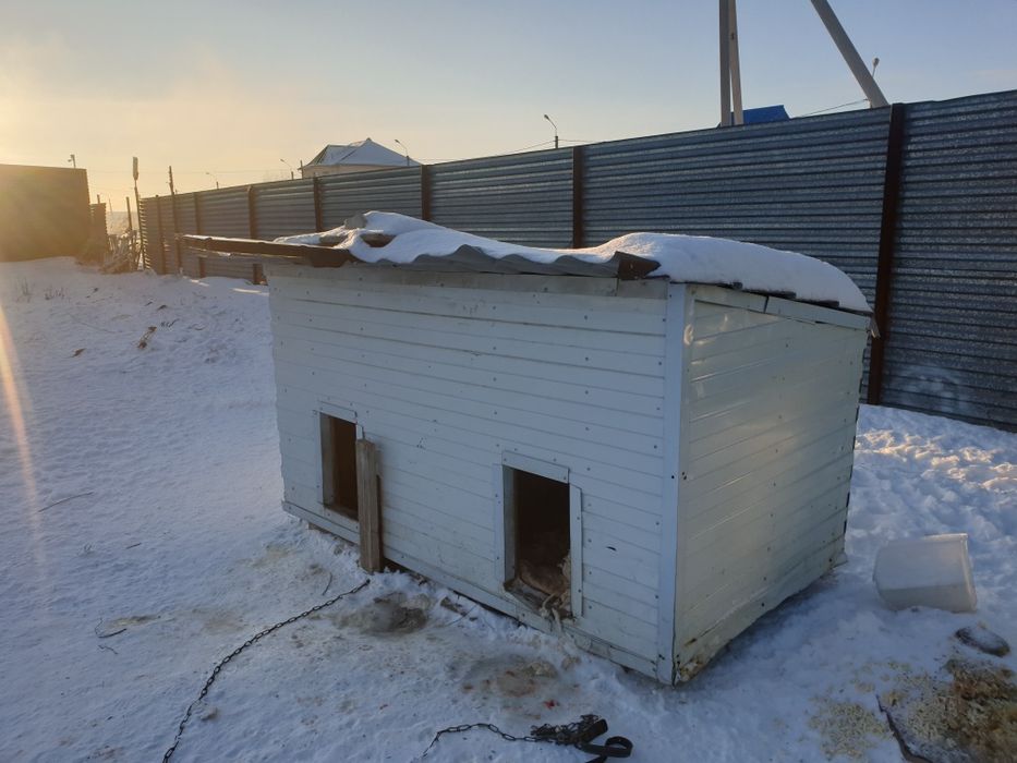 Продам будку для собак