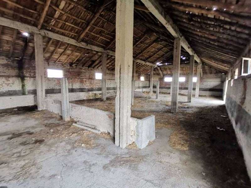 Продава се Парцел в с. Цалапица, Област Пловдив - 2300 кв.м за 22 €/кв.м - Снимка #1