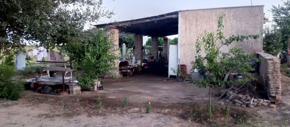 Ҳовли уй жой сотилади ферма қилиш учун мўлжалланган