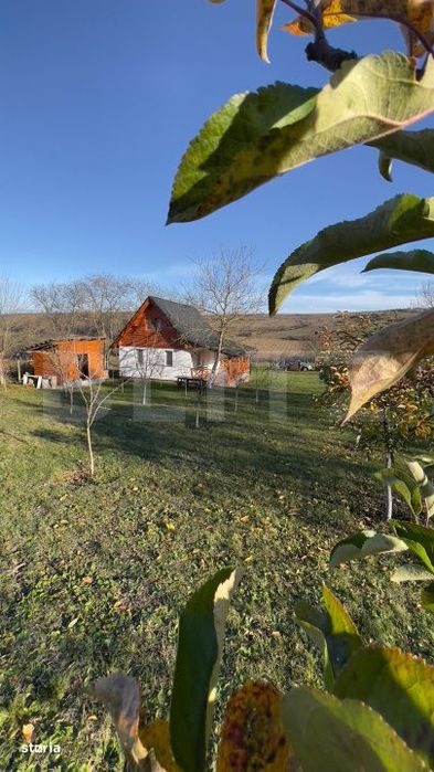 Cabana cu livada si panorama superba – Refugiu in natura, Blaj