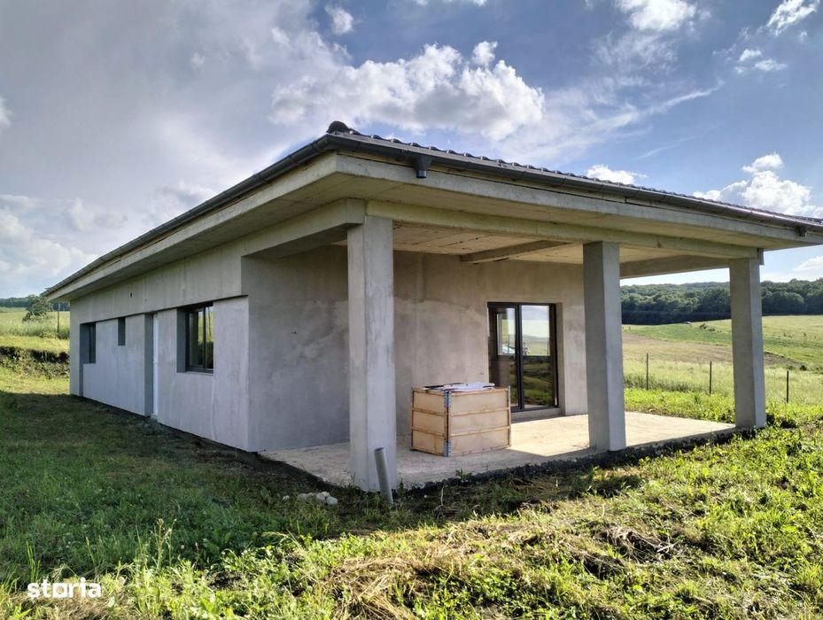 Vând casă individuală în Săliștea Nouă * Comision 0%