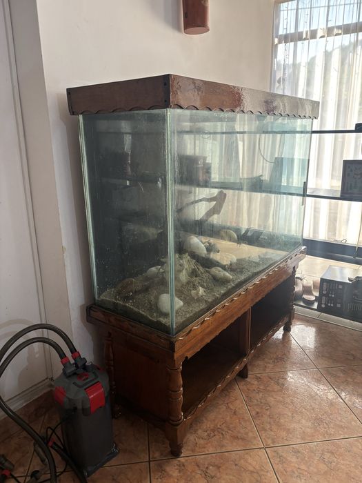 acvariu spatios 400l