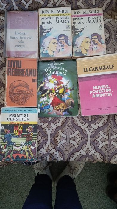 Cărți limba română admitere Drept/Poliție Universitatea București