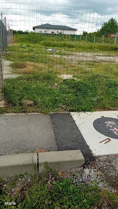 Teren Tanganu - Cernica