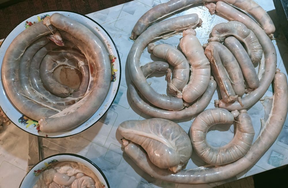 Жылқы еті соғым 1.5жасар