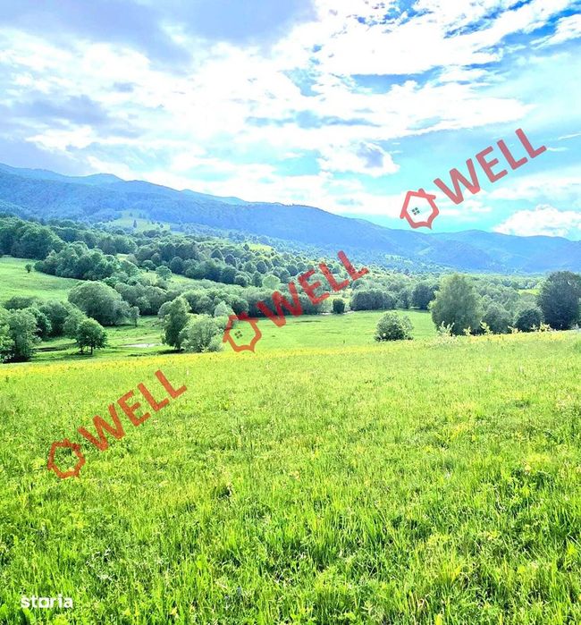 Teren extravilan de vânzare în Vama Buzăului!