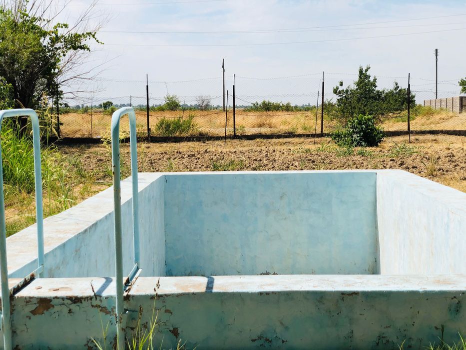 Дача в Пскентском районе!