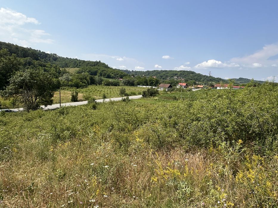 Teren intravilan 6.000 mp de vânzare – acces direct la DN67