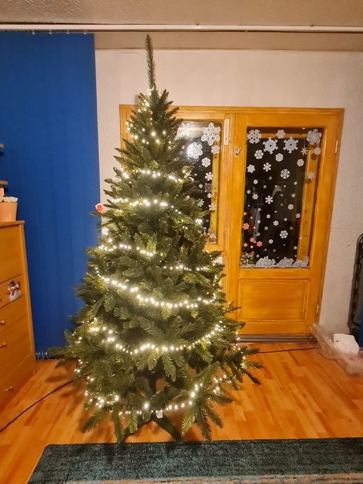 Vand brad Deluxe Crăciun