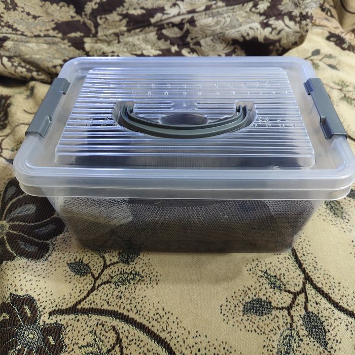 Культура гриндальский червь