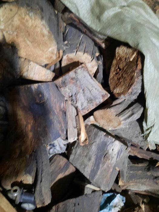 Продаются дрова тополь