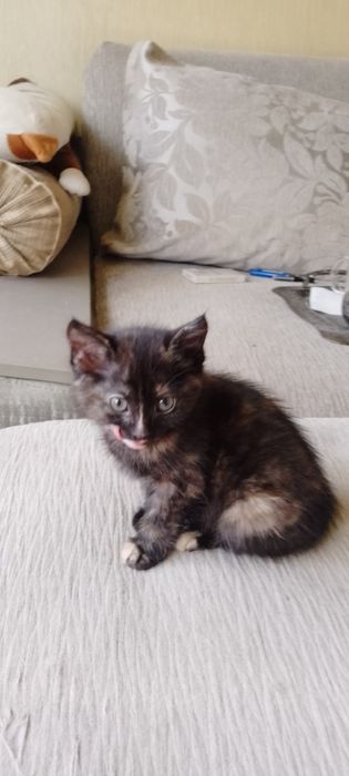 Сердечно над глазиком-удача в жизни!