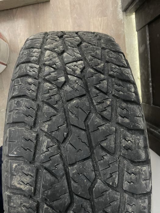 Покрышки Трианг